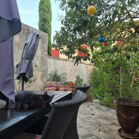 Les Mimosas * Lecques